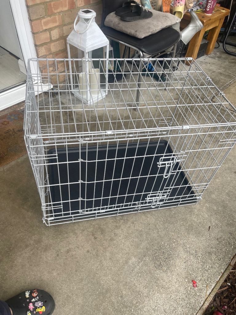 Dog cage large