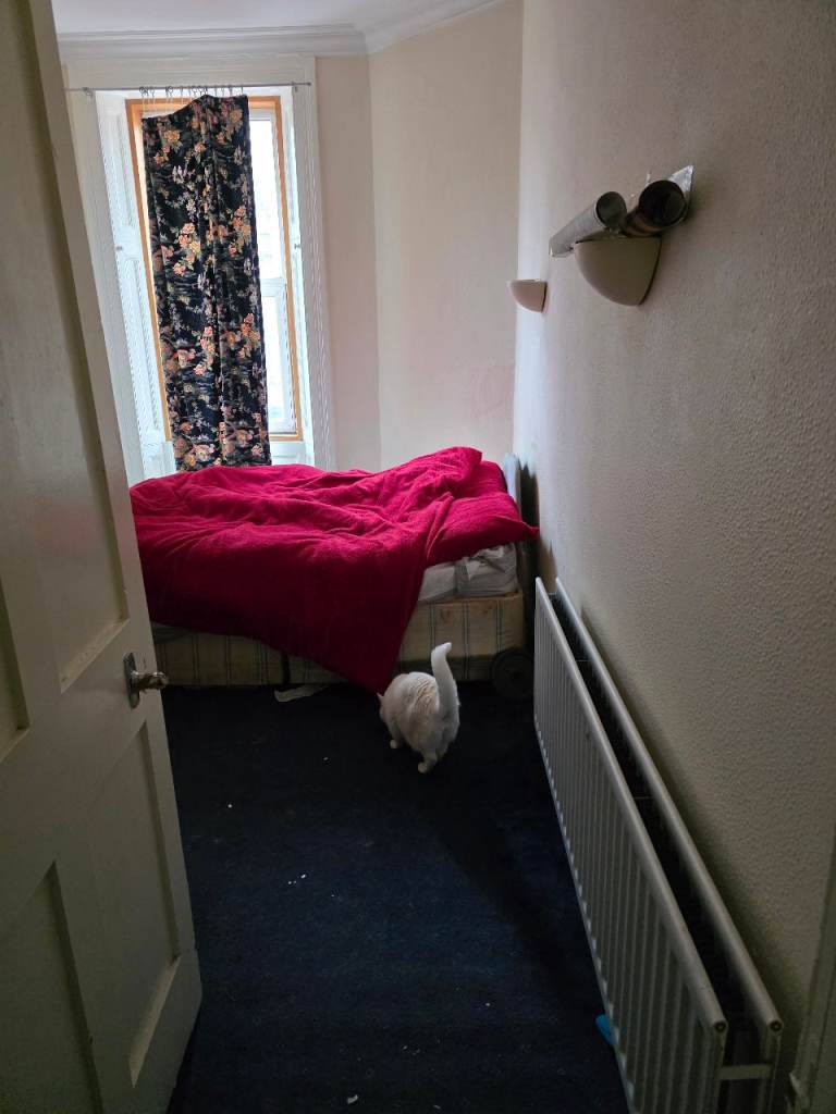 Property to share - rent 