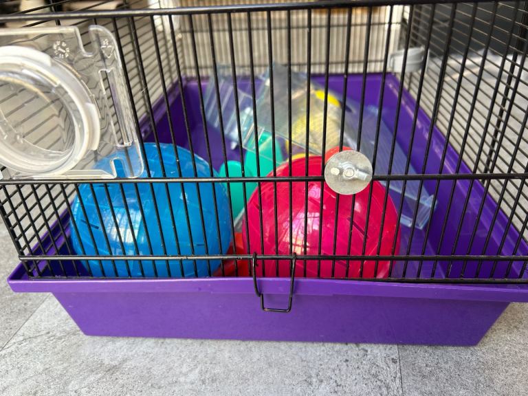 Hamster cage and accessories 