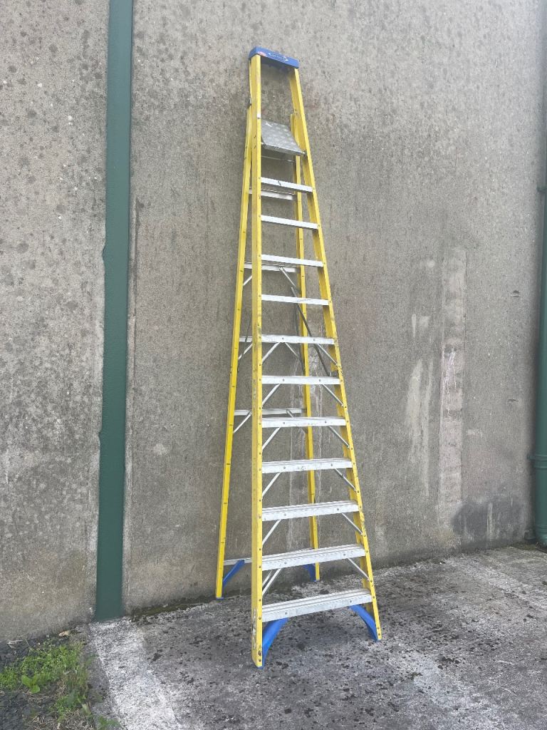 Werner 12 Tread Ladder – Faulty, for Parts or Repair
