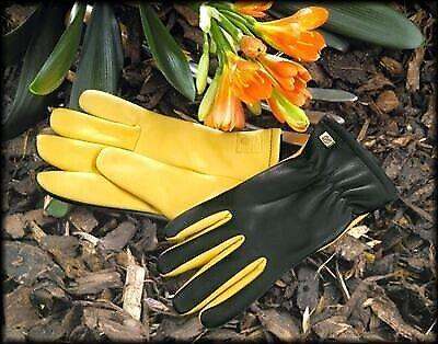 New Gold Leaf RHS Dry Touch Ladies Water Resistance Leather Gardening Garden Soft Durable Gloves