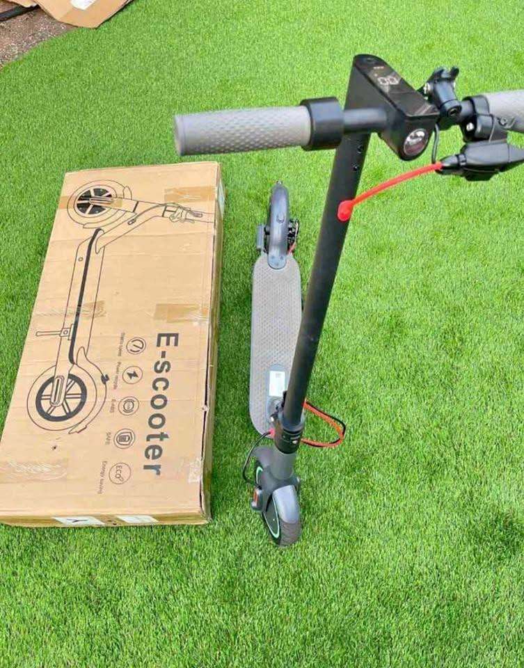 Electric Scooter for Adults - D8 Pro, 350W
