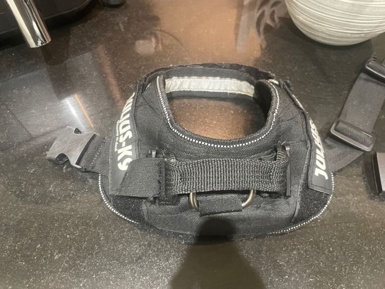 Julius k9 harness x2