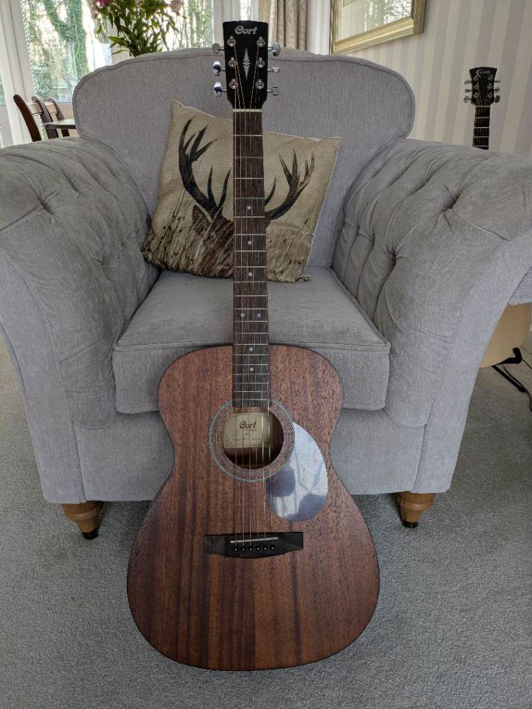 Cort L60m  OP  acoustic guitar.