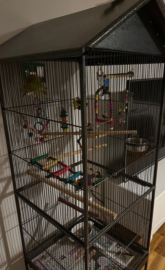 Large Bird Cage OPEN TO OFFERS