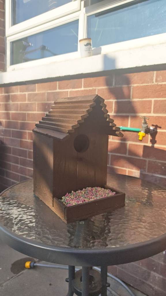 Handmade bird house