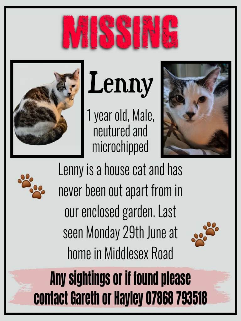 Missing Cat "Lenny"