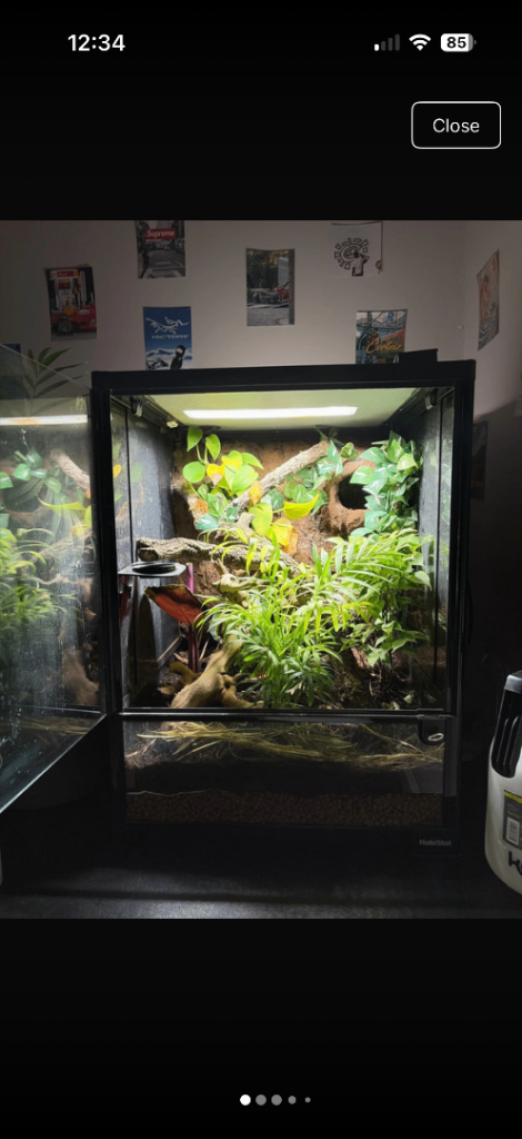 45x45x60 custom terrarium 