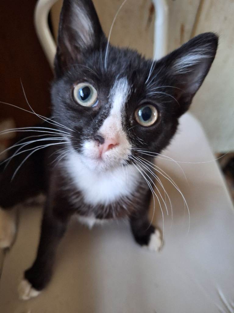 Cute female updated  26/7