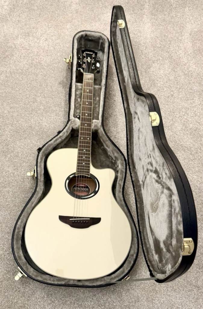 Gorgeous Yamaha Electro Acoustic Guitar + Case