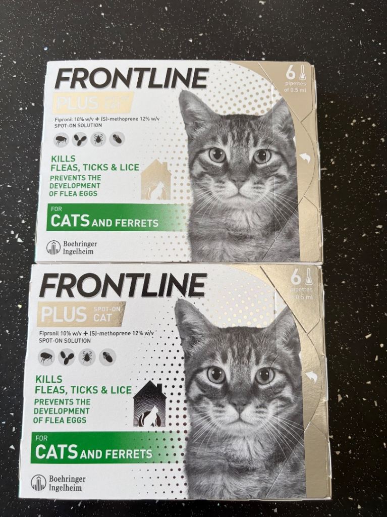 Two packs of Six Frontline Plus Flea Treatment for Cats