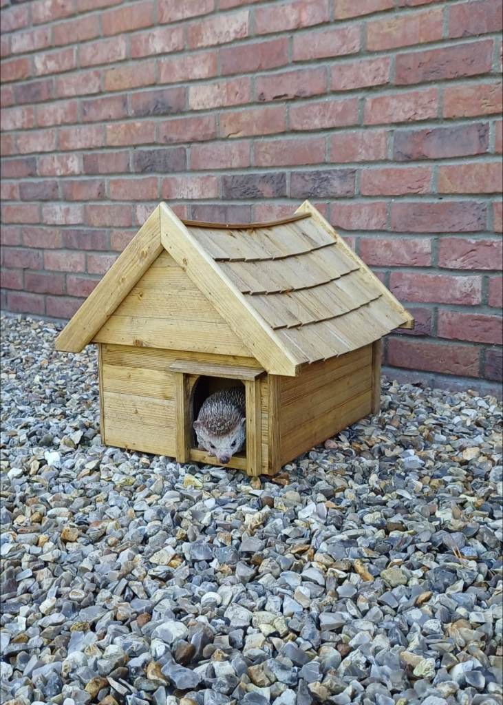 HEDGEHOG HOUSE