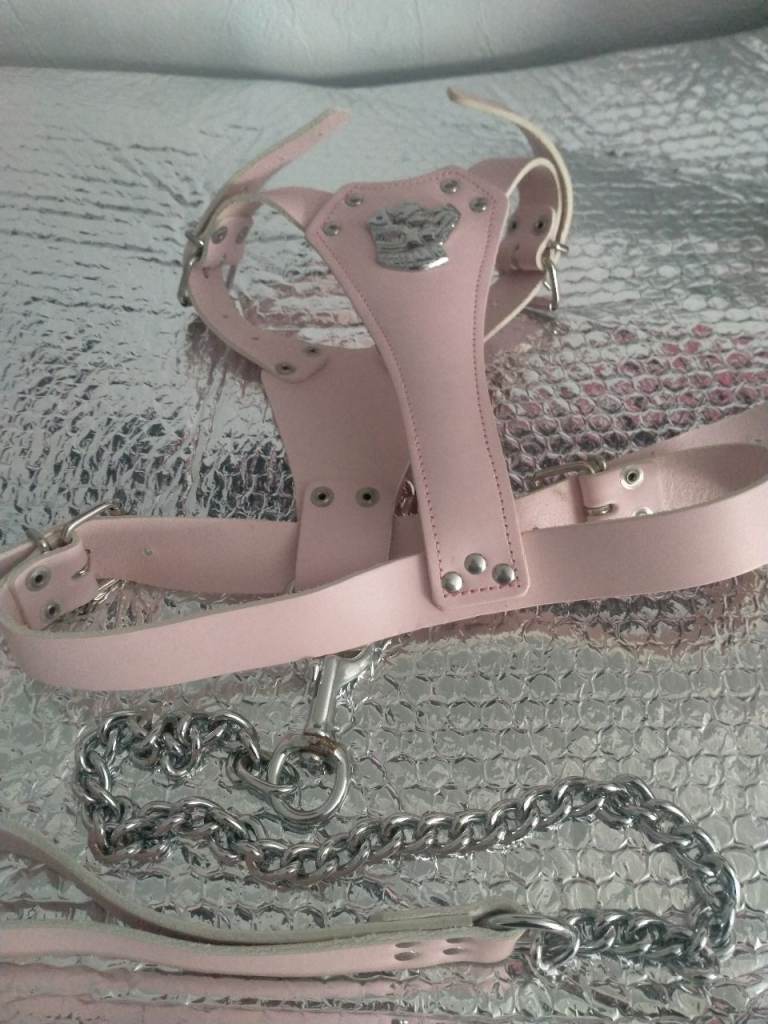 Leather Dog Harness With Lead (NEW)