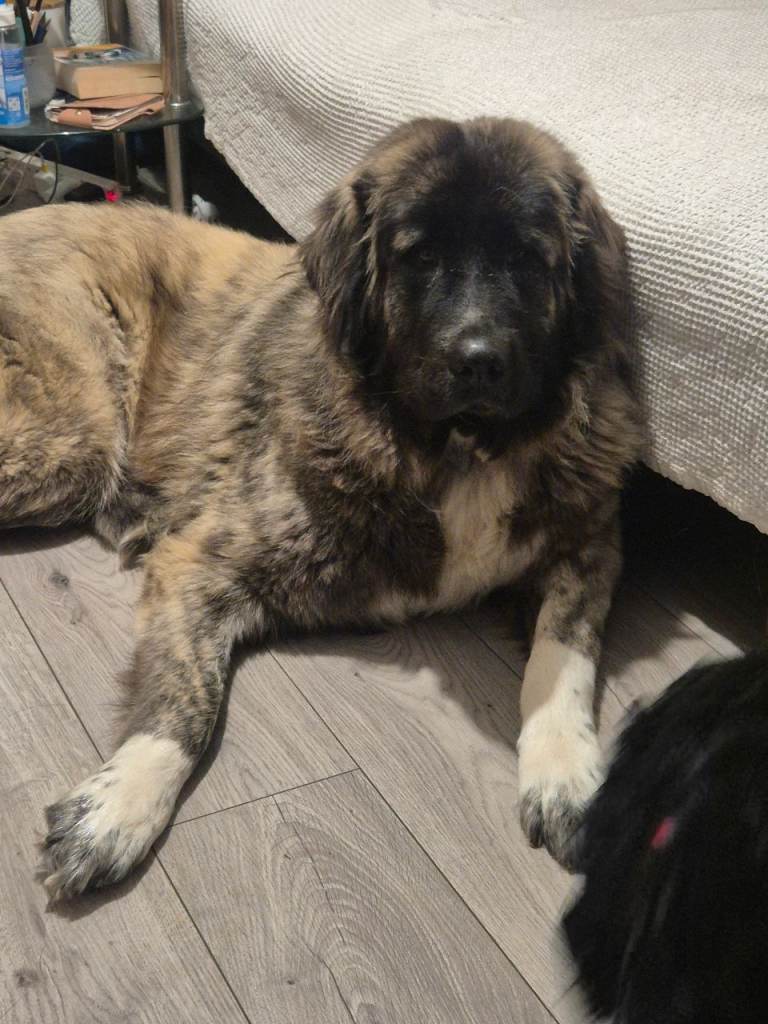 For sale  price negotiable