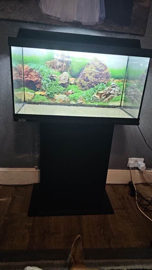 120l Fish Tank