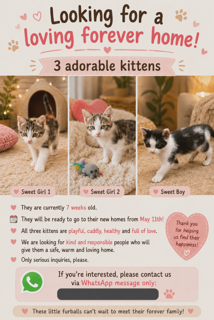 Kittens