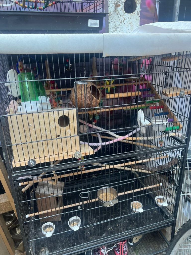 Large full size bird cage