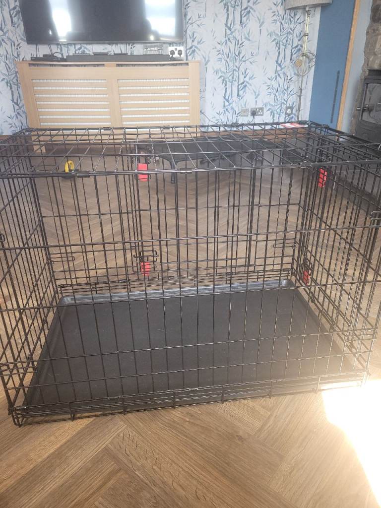 Kong Dog Crate