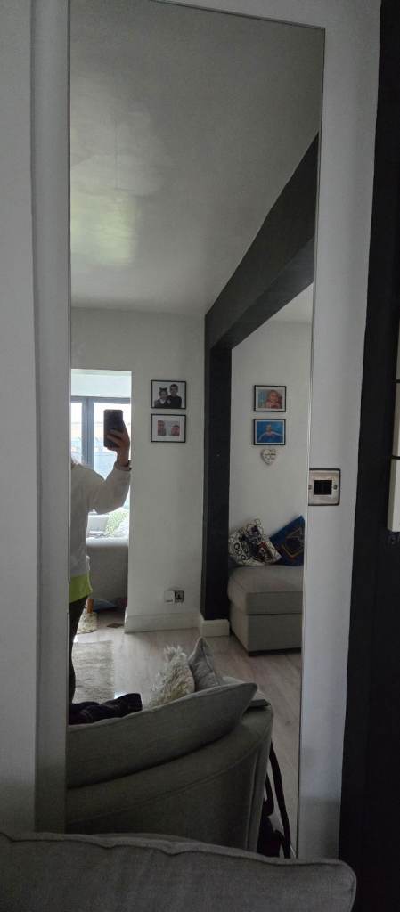 Ikea Aheim Wardrobe Mirror Door 50x229cm