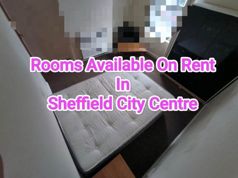 Private room on rent in Sheffield 