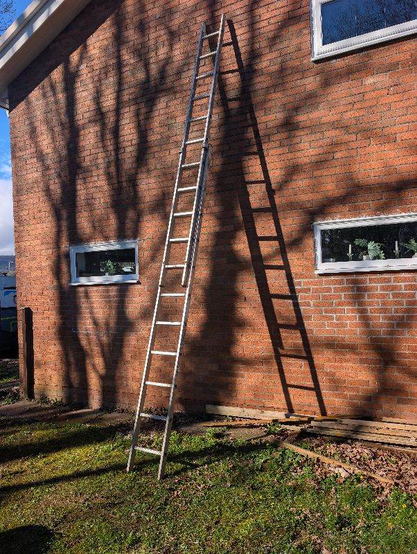 Youngman 100 extension ladder 