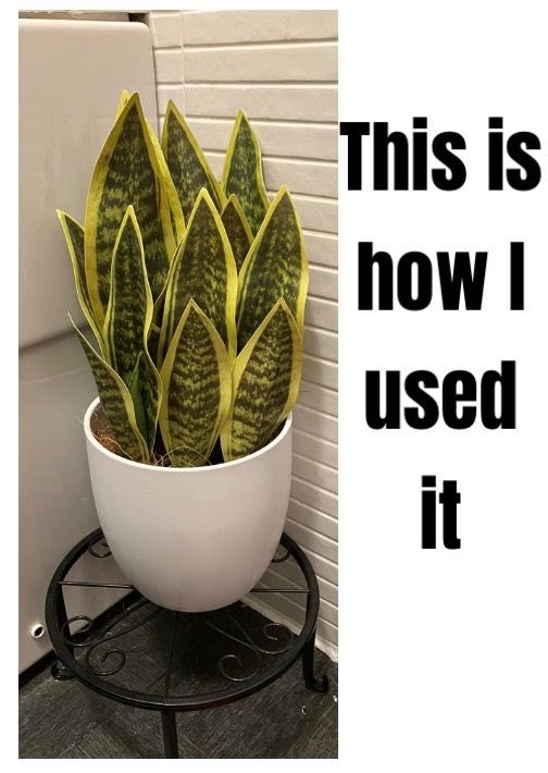 Artificial snake plant pieces 