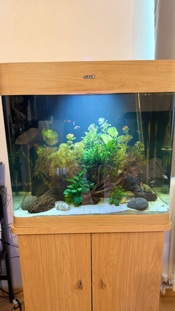 100 Litre fish tank for sale