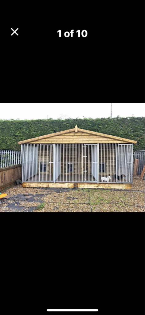 Dog kennel / chicken shed