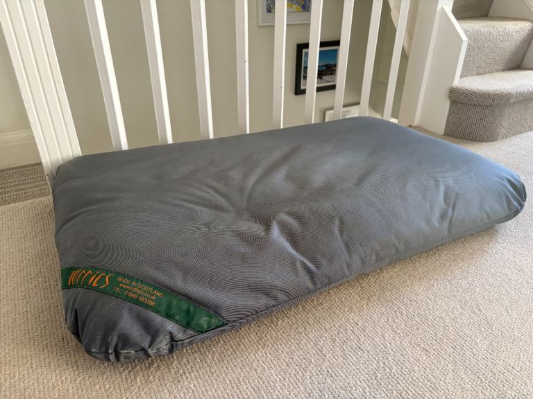 Almost new Tuffies mattress dog beds