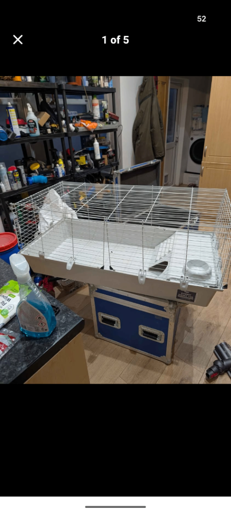 Guinea pig/rabbit hutch indoor