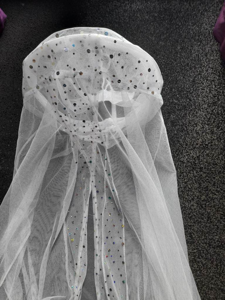 Net Bed Canopy for Girls. White.