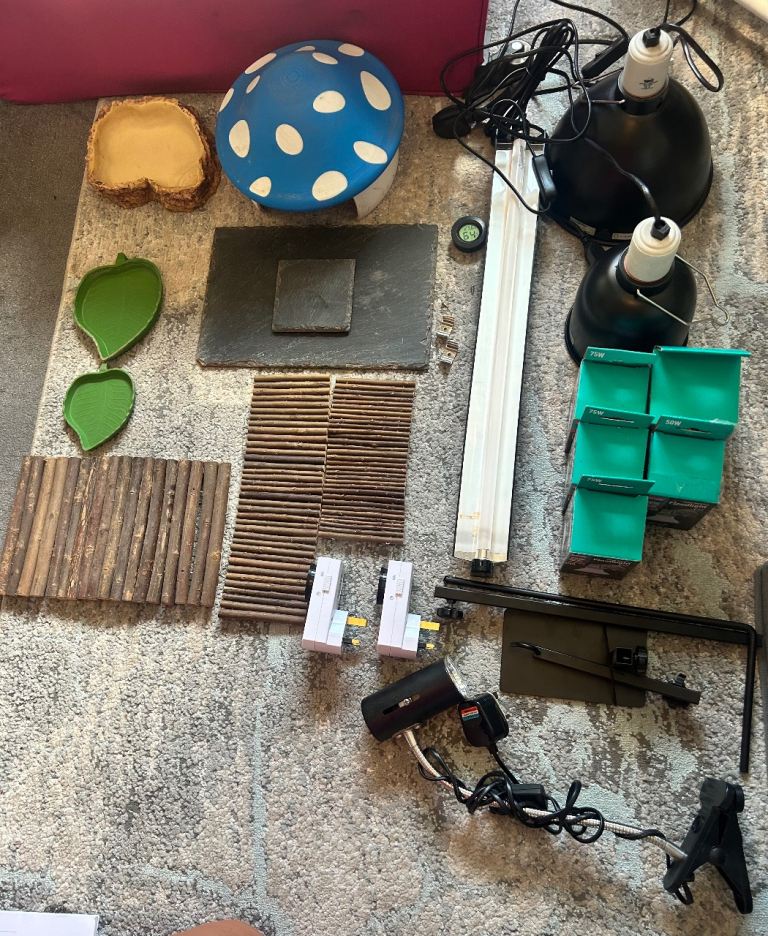Reptile accessories 