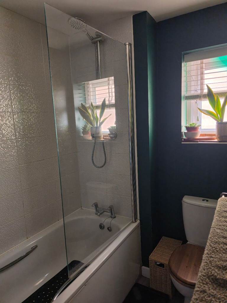 Bath Shower Screen 