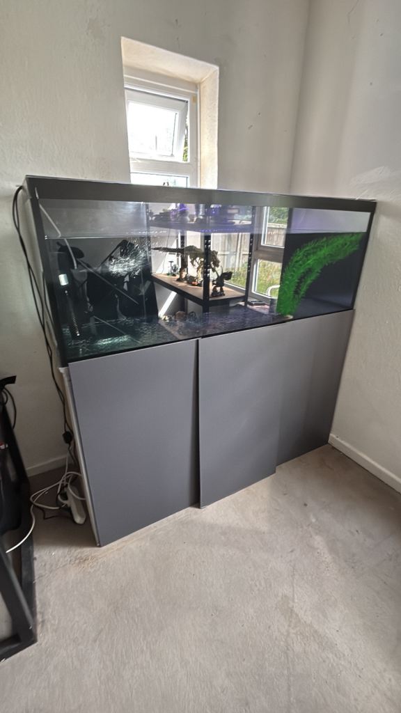 5ft fish tank 