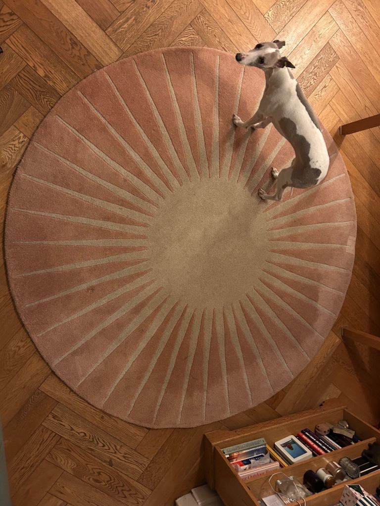 Niki Jones Vaserely round wool rug 200cm diameter