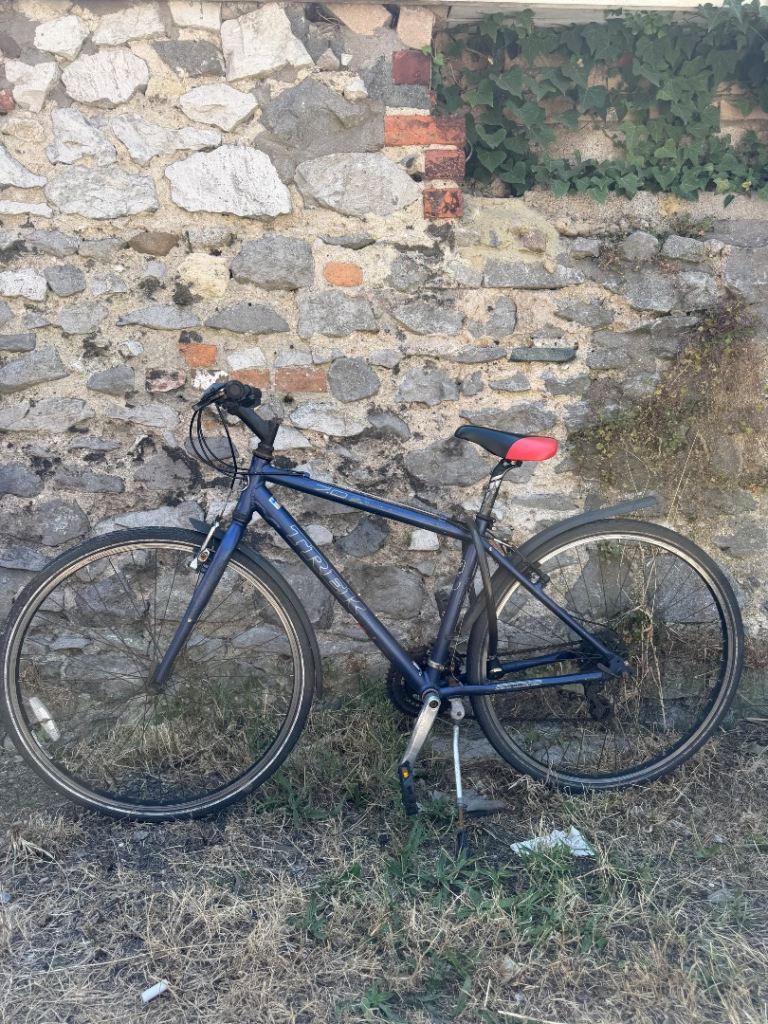 Trek hybrid Bike