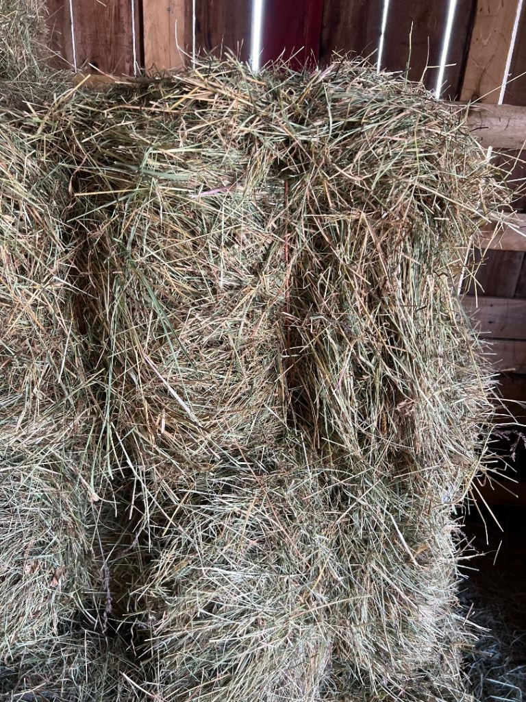 Hay for sale 