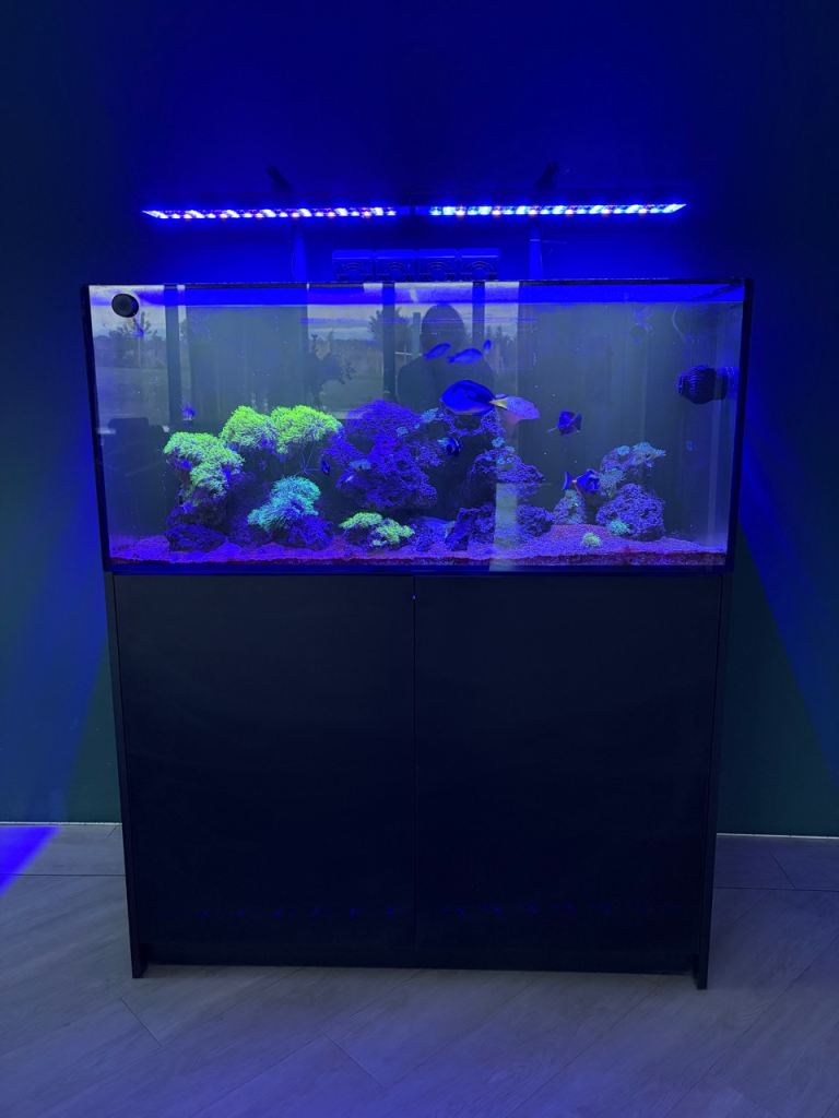 Aqua Marin Pro 1200 Marine aquarium full set up, fish and reverse osmosis unit