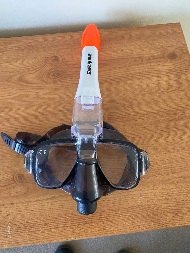 Snorkel and Mask Set – Black and Orange, Good Condition