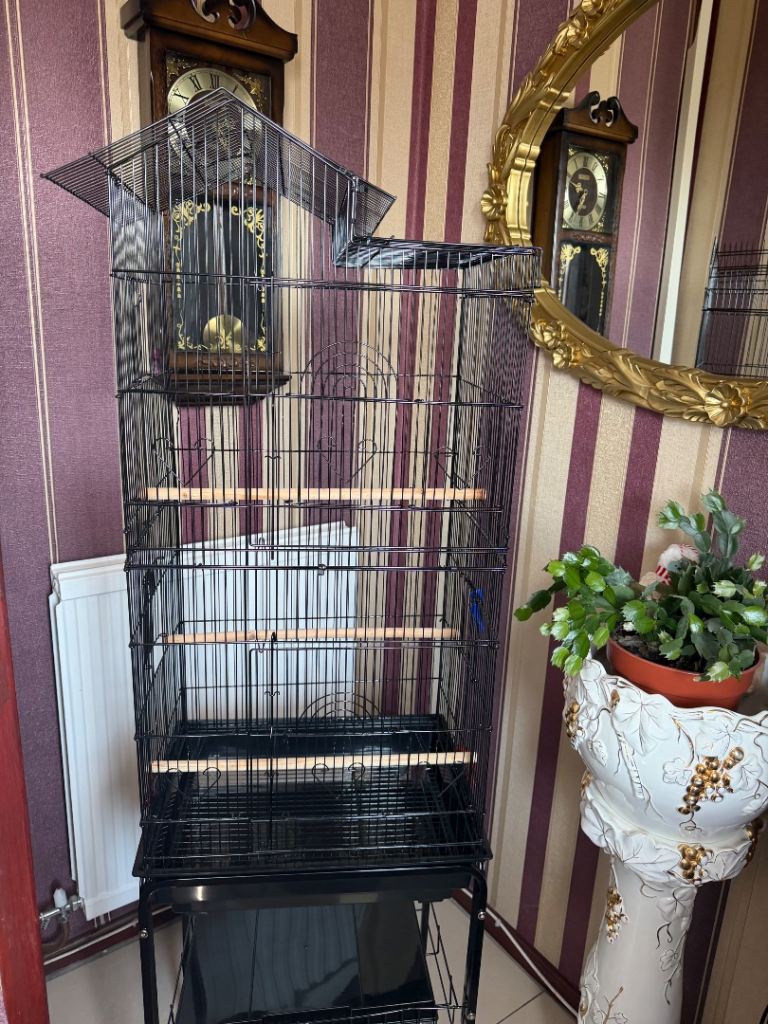 Bird cage 