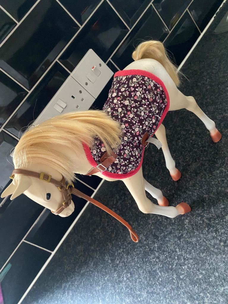 Our generation pony and accessories 