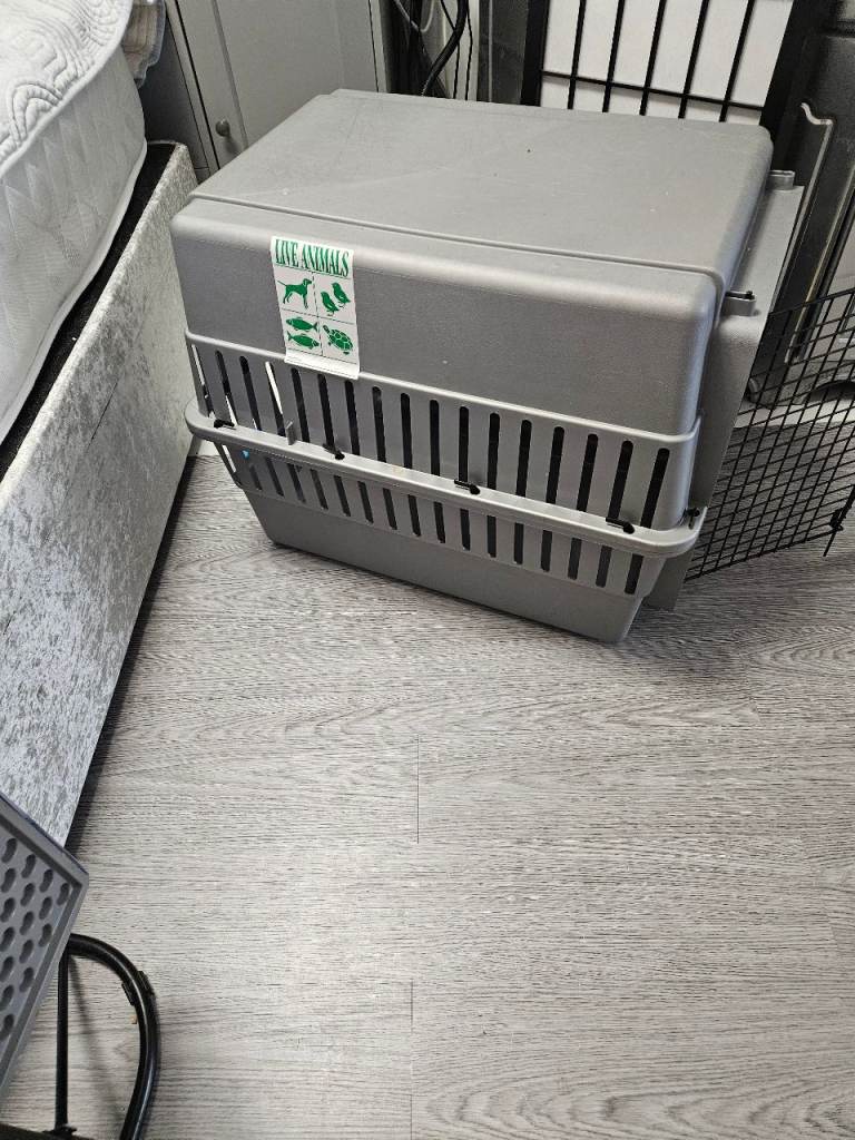 Large heavy plastic dog crate