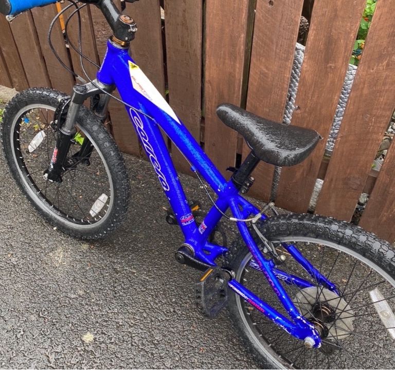 20” Carrera Kids Bike - Blue, Good Condition