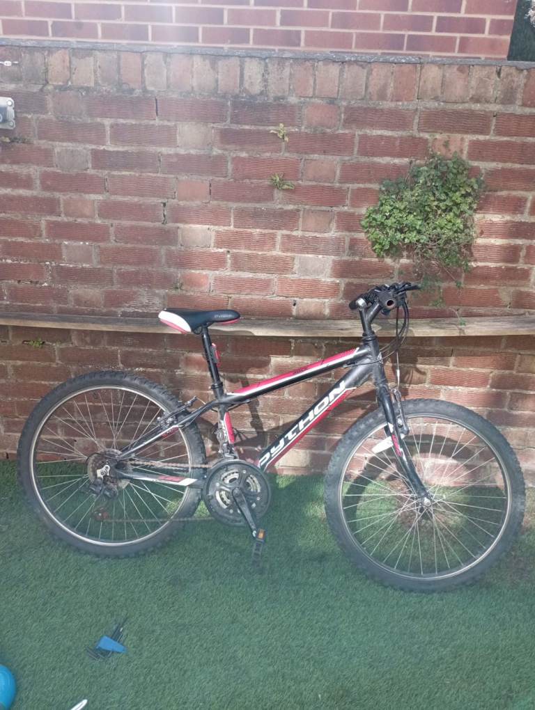 image for Python bike 