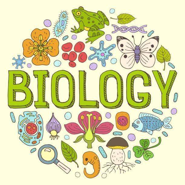 National 5/Higher Online Biology Tutor