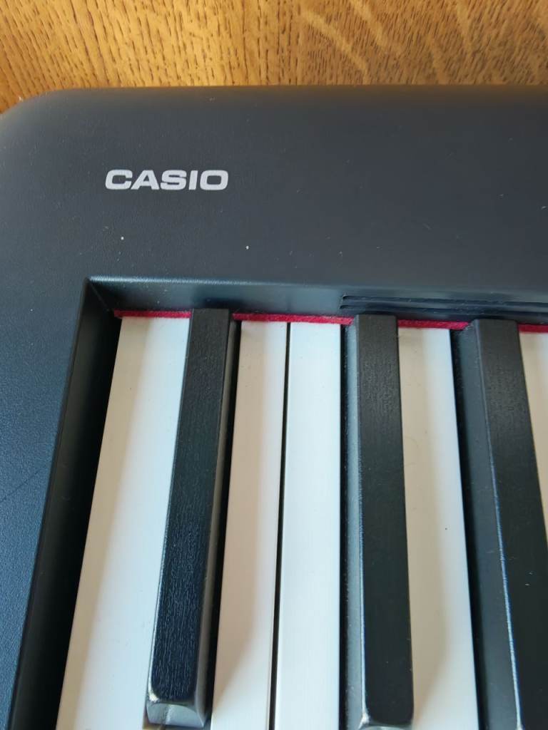 Casio cdp-s100