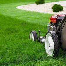 Grass cutting £20