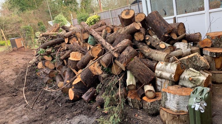 Logs for sale 