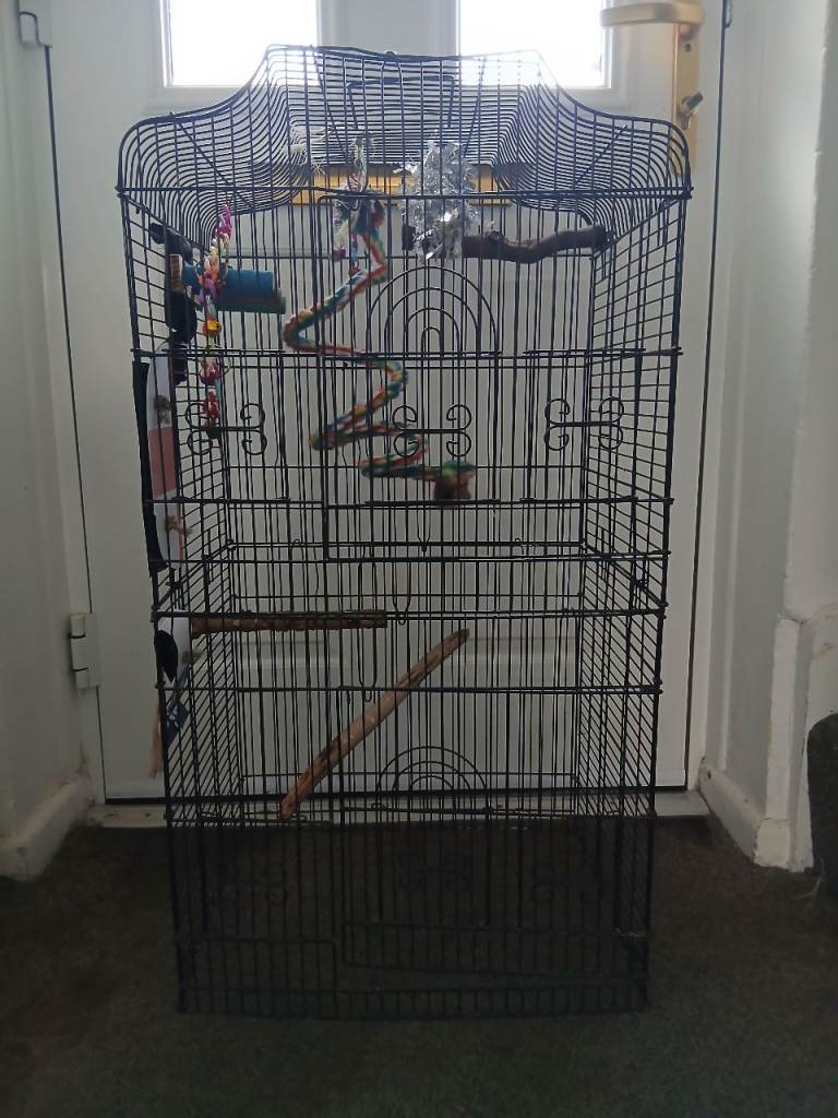 Bird Cage
