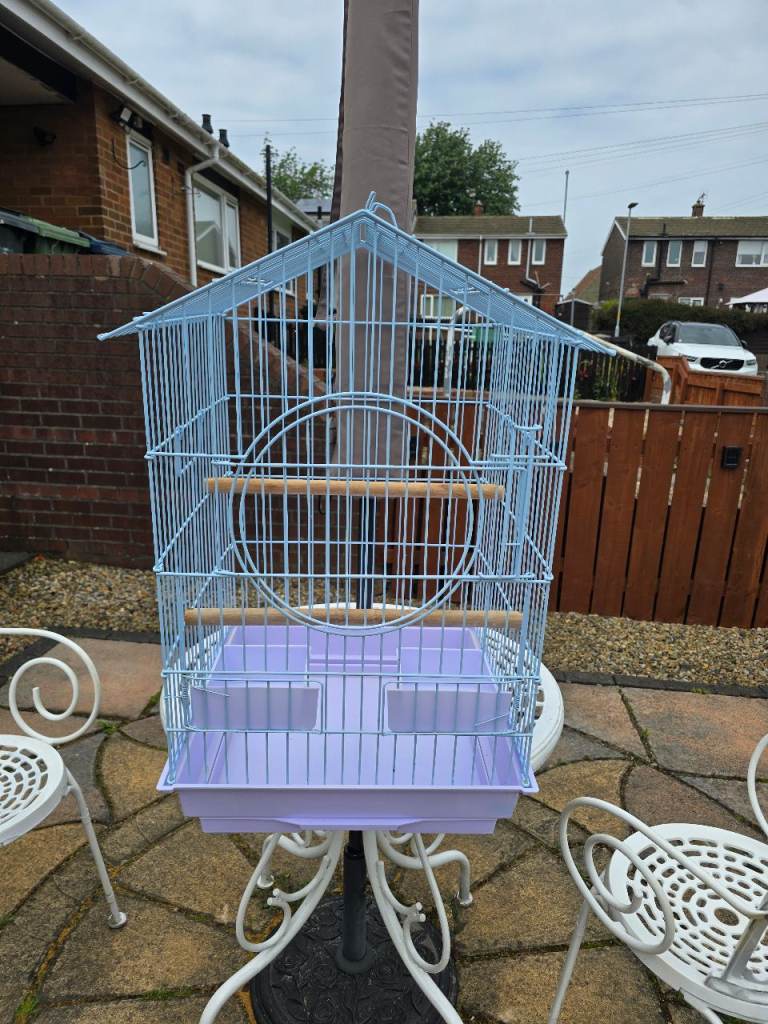 Large bird cage